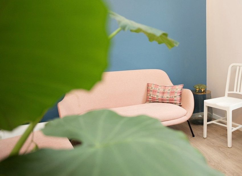 La salle d’attente, canapé rose et mur bleu